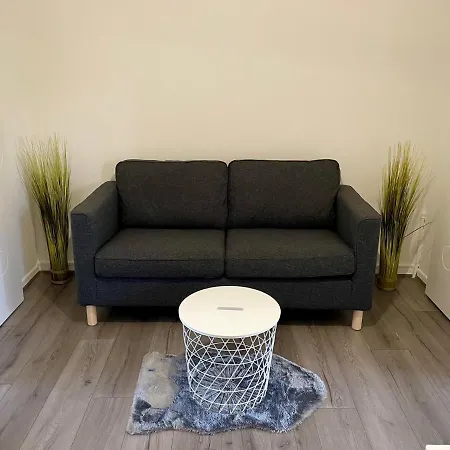 3 Pieces Renove Avec Jardin Feriehus *