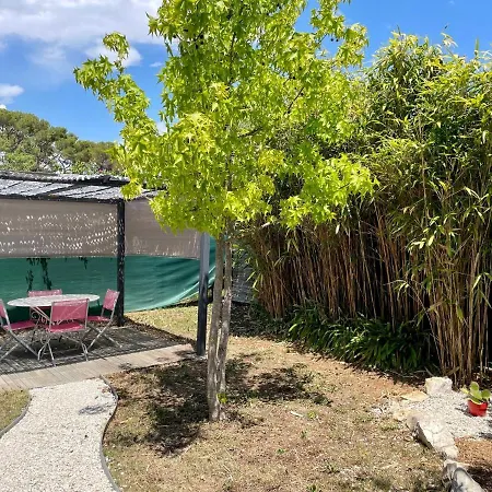 3 Pieces Renove Avec Jardin Αντίμπ