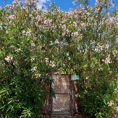 3 Pieces Renove Avec Jardin